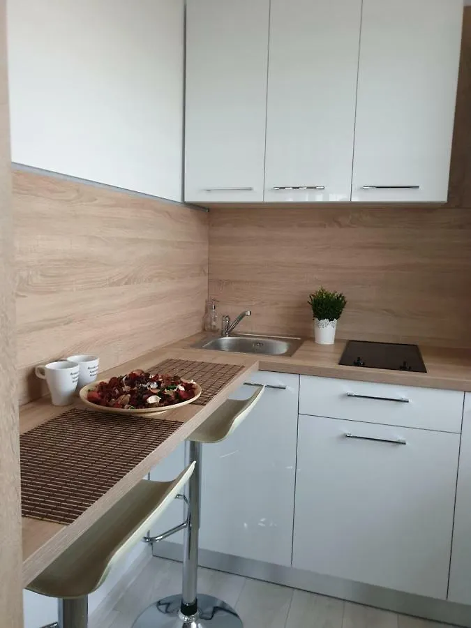 Studio Rendez-Vous Baneasa Bucharest 0*,