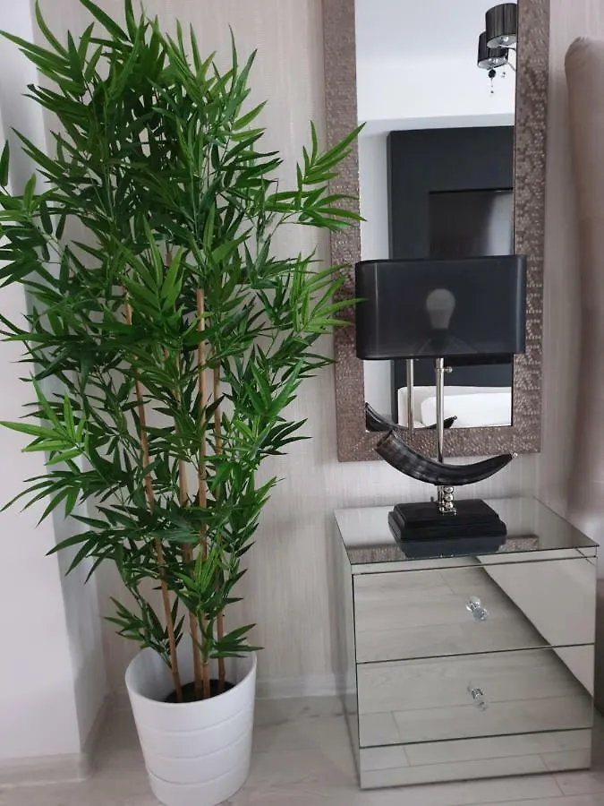 Apartment Studio Rendez-Vous Baneasa Bucharest